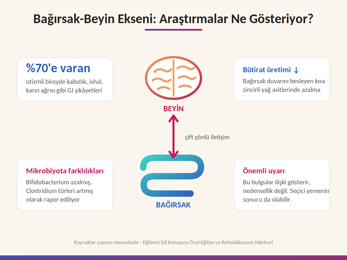 Bağırsak-beyin ekseni infografiği: beyin ile bağırsak arasında çift yönlü iletişim; yüzde yetmişe varan sindirim şikâyeti, mikrobiyota farklılıkları, bütirat üretiminde azalma ve ilişki-nedensellik uyarısı